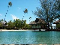 moorea beach comber 4 